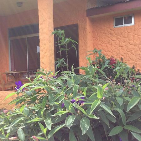 Hotel Cabinas Los Guayabos La Fortuna Exterior foto