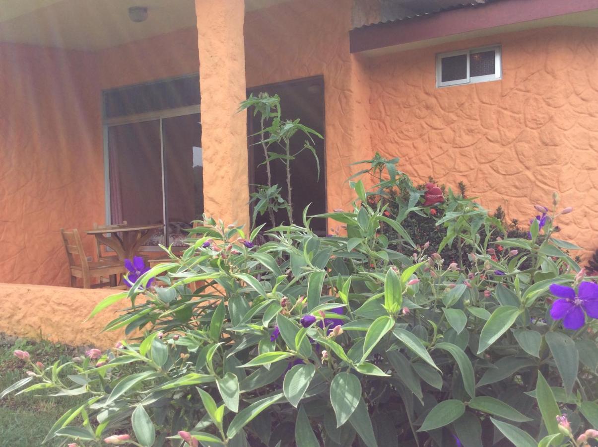 Hotel Cabinas Los Guayabos La Fortuna Exterior foto
